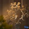 Отель Jianhe Hostel, фото 7