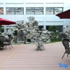 Отель The Twenty Four Bridge Hotel, фото 11