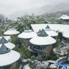 Отель Zhongxia Dream Yeshe Rural Hotel, фото 12