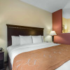 Отель Comfort Suites Cullman I-65 Exit 310, фото 6