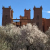 Отель Kasbah Titrit, фото 1