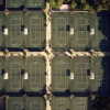 Отель The Boca Raton, Bungalows, фото 32