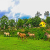 Отель E-outfitting Pai Resort, фото 40