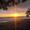 Отель Matapalo Surf School & Beach Cabin, фото 4
