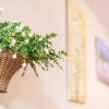 Отель Guestready - Casa do Lago, фото 15