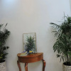 Отель Chez Mimosa Local Homestay, фото 24