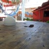 Отель Hostel Maresia Jericoacoara в Жижока ди Жерикуакуара