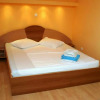 Отель Pension Andronic, фото 19