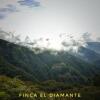 Отель Finca Boutique El Diamante, фото 26