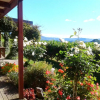 Отель Kauri Lodge Farmstay, фото 7