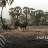 Отель Zambezi Grande Private Game Experience - All Inclusive, фото 19