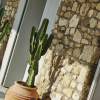 Отель Ficus Villa Mykonos, фото 25