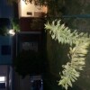Отель House With 2 Bedrooms In Bouillante With Furnished Terrace And Wifi 500 M From The Beach в Буйаянте