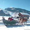 Отель Holiday Home Chalet Alpin, фото 13