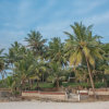 Отель Baobab Sea Lodge, фото 15