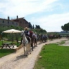 Отель Agriturismo Renello, фото 20