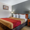 Отель Econo Lodge Airport at RJ Stadium, фото 3