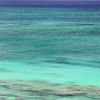 Отель Grand Cayman Marriott Resort, фото 22