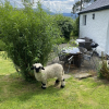 Отель Impeccable 2-bed Cottage Near Betws y Coed, фото 20