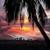 Отель Sunset Palms Rarotonga, фото 8