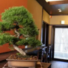 Отель Luck You Kyoto Bukkoji-Higashimachi, фото 15