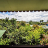 Отель Jacaranda Hotel & Jungle Garden, фото 12