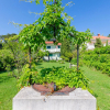 Отель Apartments Ruzica M in Lopar - island Rab, фото 11