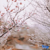 Отель Qiandao Lake Wenyuan Lion City Vipusea Hotel, фото 1