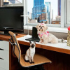 Отель DoubleTree by Hilton Hotel Metropolitan - New York City, фото 14