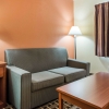 Отель Comfort Inn & Suites, фото 8