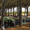 Отель Camping Village Marina Chiara, фото 4