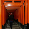 Отель COTO Kyoto Tofukuji, фото 19
