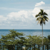Отель Tahuna Beach Hotel and Resort, фото 15