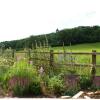 Отель Wood Cottage Bed & Breakfast, фото 1
