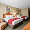 Отель Comfort Inn & Suites, фото 9