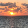 Отель Flamingo Beach Plus, фото 14