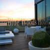 Отель Blue Woods Hotel, фото 21