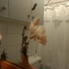 Отель Hostal Montaña, фото 22