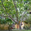 Отель Mitu Wasi Ecolodge, фото 18