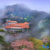 Отель Huangshan Shilin Hotel, фото 30