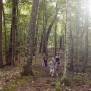 Отель Dale Hollow Lake State Resort Park, фото 24