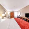 Отель Comfort Inn Greenville - Haywood Mall, фото 7