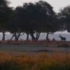 Отель Mwinilunga Safaris, фото 6