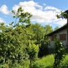 Отель Mozzanella Holiday Home in Garfagnana, фото 5