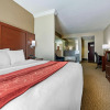 Отель Comfort Suites Cincinnati Airport, фото 7