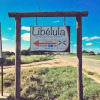 Отель Libelula Lodge, фото 7