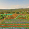 Отель Treebo Berry Hill Venna Lake, 3 Km From City Center, фото 29