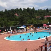 Отель Cabana Pensiune La Brazi, фото 7