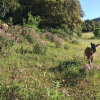 Отель Nocini di Maremma, фото 9