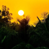 Отель Vedanta Wake Up - Auroville Beach, фото 9